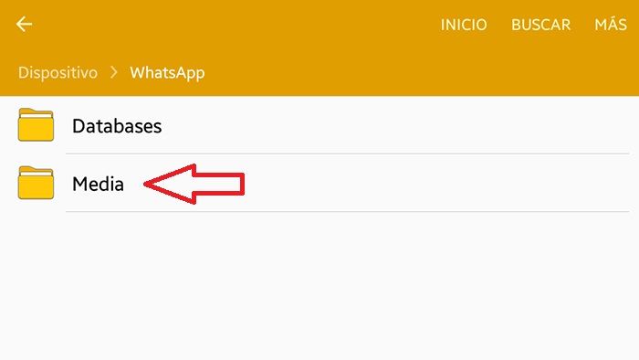 Excluir arquivos indesejados do WhatsApp 4