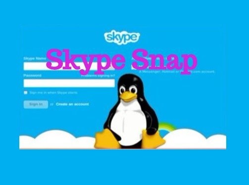 Skype Como um arquivo de snap no Linux