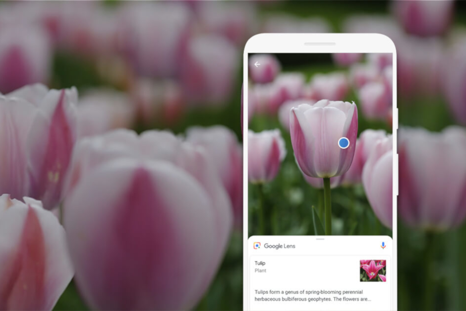 Google Lens recebe novos filtros para dispositivos Android e iOS esta semana