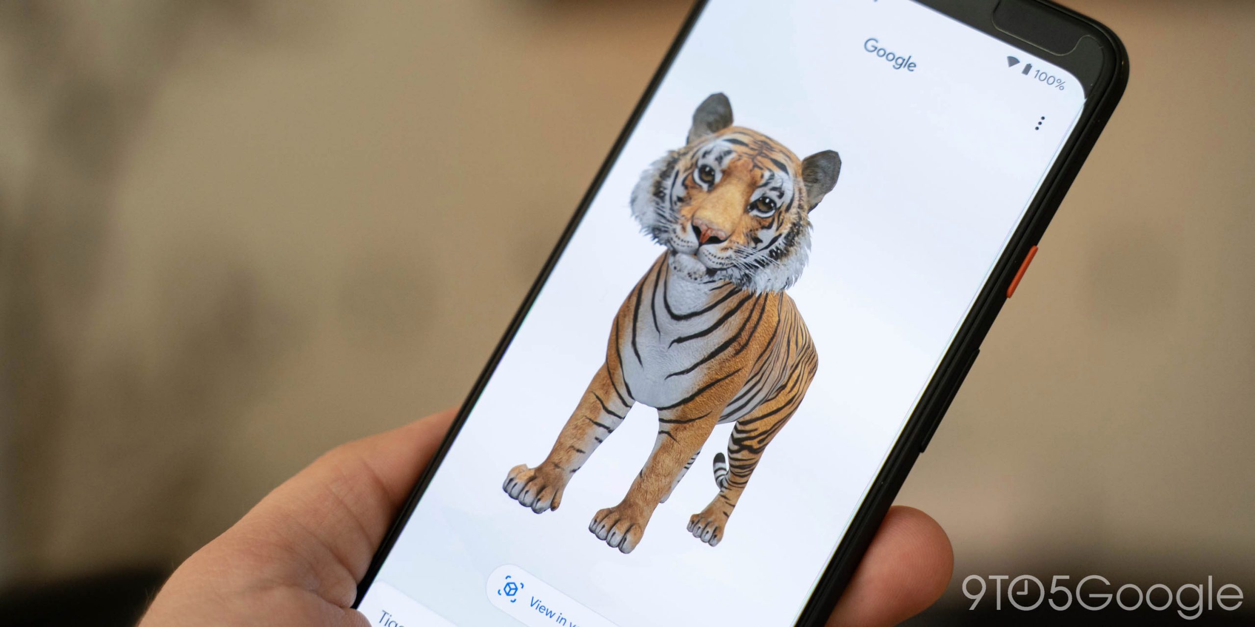 Tigres 3D do Google, outros animais aumentam em popularidade entre os pais em meio ao coronavírus